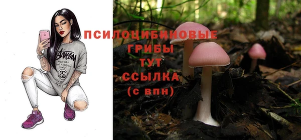 индика Арсеньев