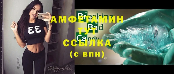 индика Арсеньев