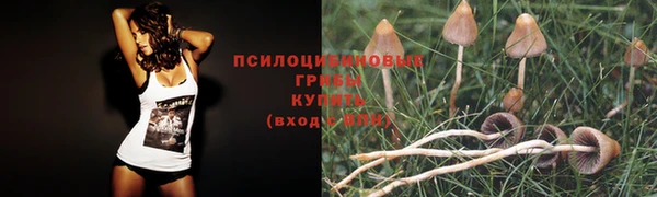 а пвп мука Аркадак
