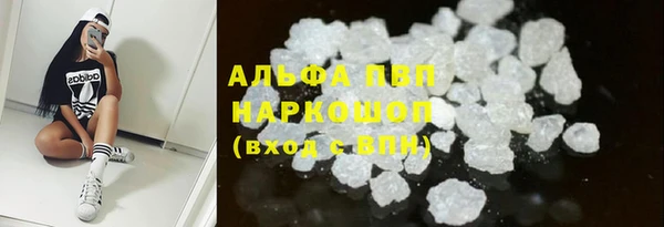 индика Арсеньев
