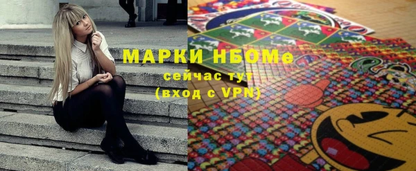 индика Арсеньев