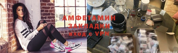 индика Арсеньев